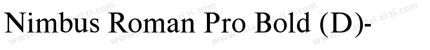 Nimbus Roman Pro Bold (D)字体转换